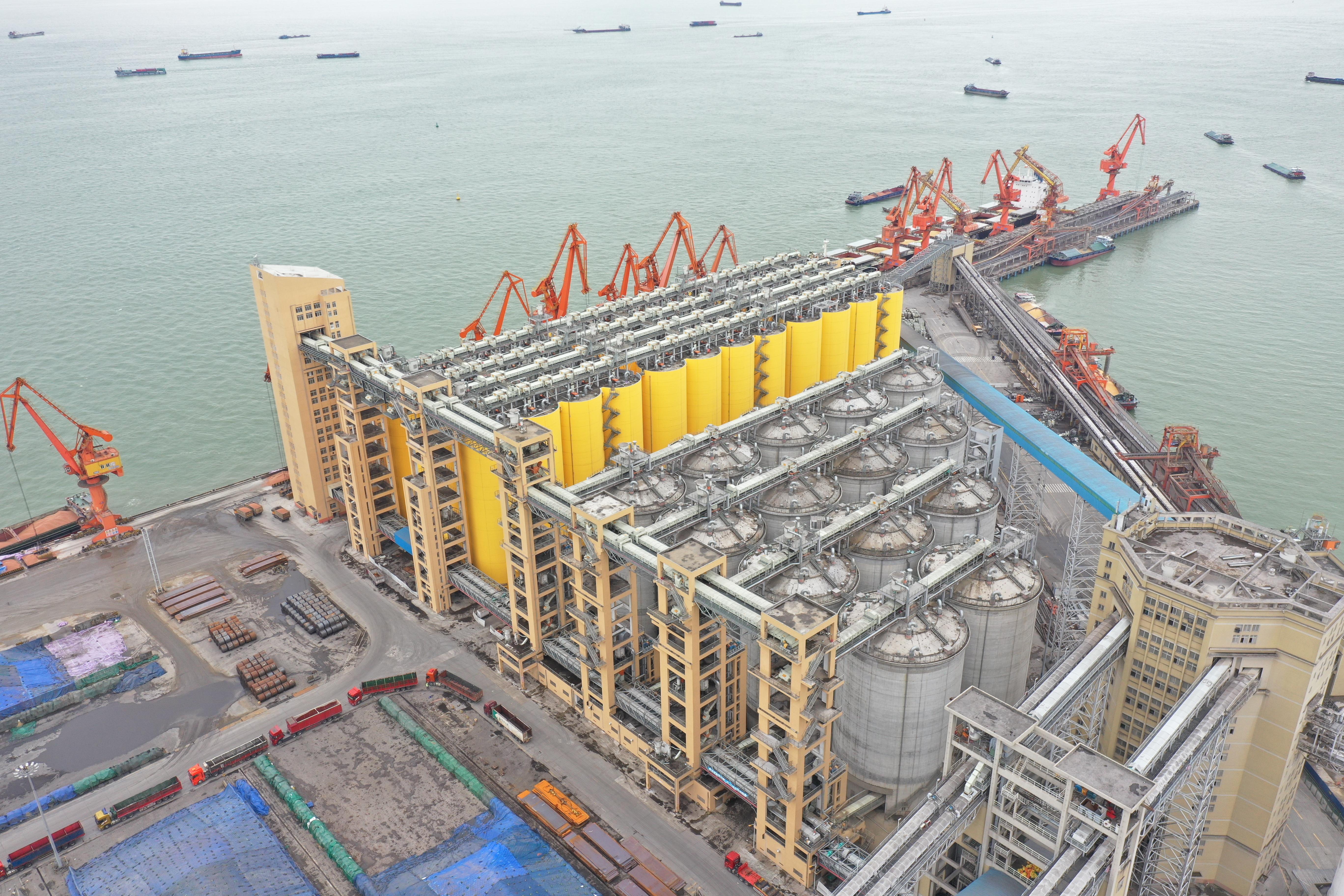 广州疫苗接种人员感染，疫情防控中的警示与思考