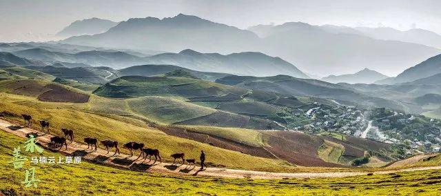 郭昌贵昭通最新报道，艺术之光，照亮乌蒙大地