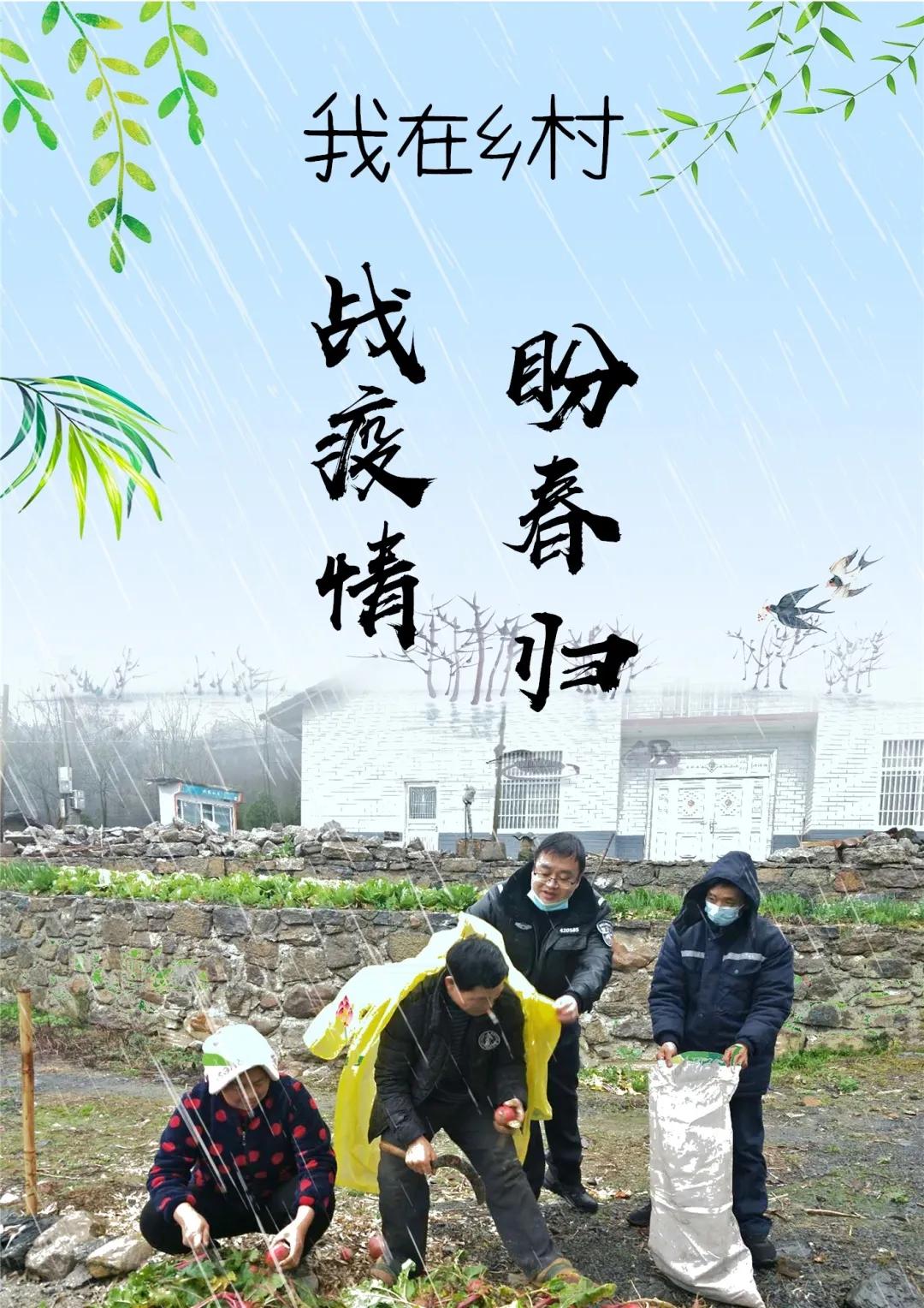 今日西安，同心战疫，静待春归