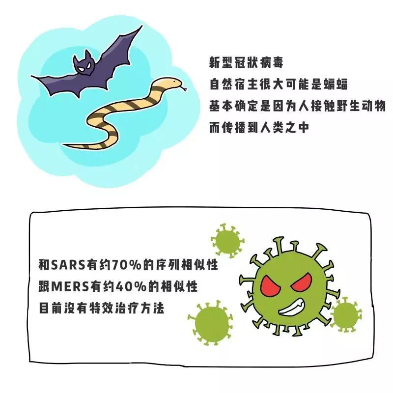 新型冠状病毒重复感染，挑战与应对