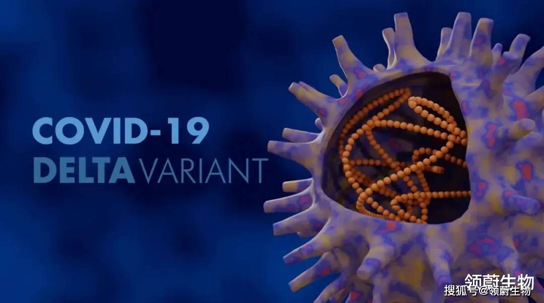 扬州疫情1传32的警示，Delta毒株的超级传播与防控反思