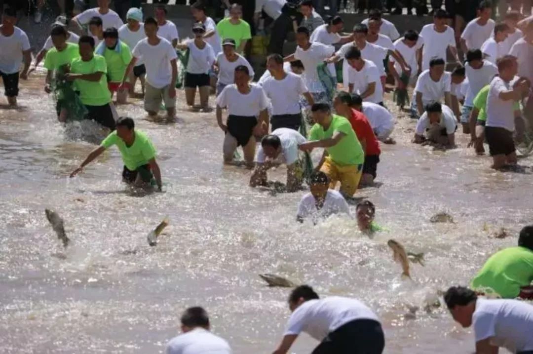 混水摸鱼者谁？解一鲶鱼之肖
