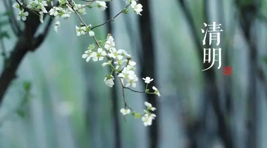 清明时节话清明，四月五号是啥节日？