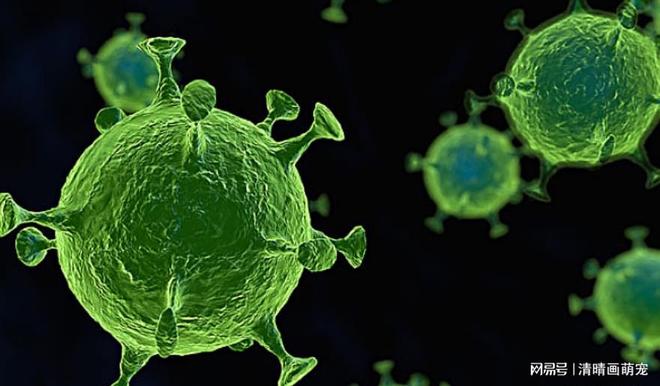 变异株新冠病毒，全球抗疫战的新挑战与应对