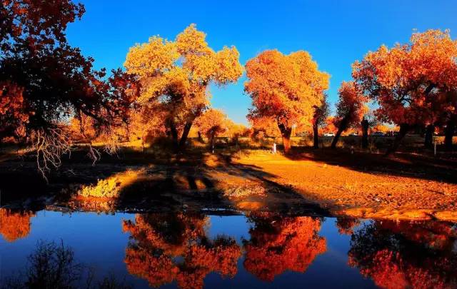 额济纳旗怎么玩合理？一份兼顾胡杨林与秘境探索的旅行指南