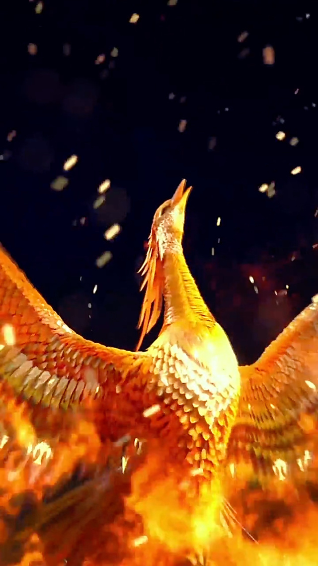 凤凰，浴火与人间烟火