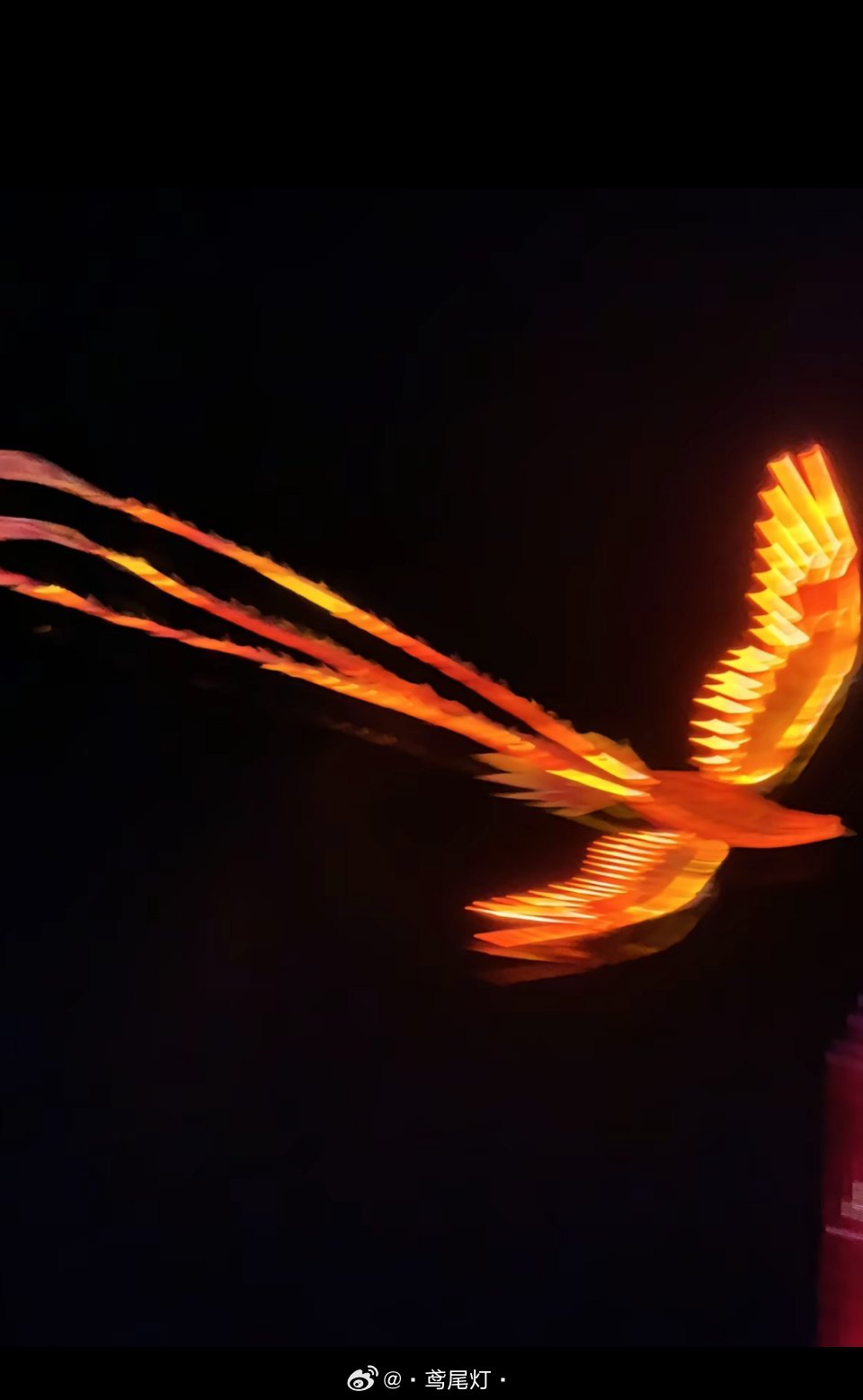 凤凰，浴火与人间烟火