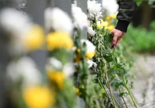 21年清明节可以去扫墓了吗?各地政策与注意事项全解析 21年清明节可以去扫墓了吗?各地政策与注意事项全解析