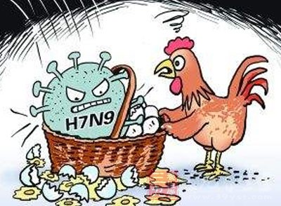 H7N9禽流感再现,专家呼吁加强监测与个人防护,暂无大规模流行迹象 H7N9禽流感再现,专家呼吁加强监测与个人防护,暂无大规模流行迹象