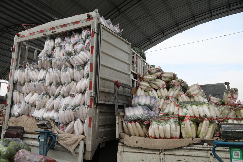 兰州科学精准筑牢疫情防线 全力守护市民健康安全