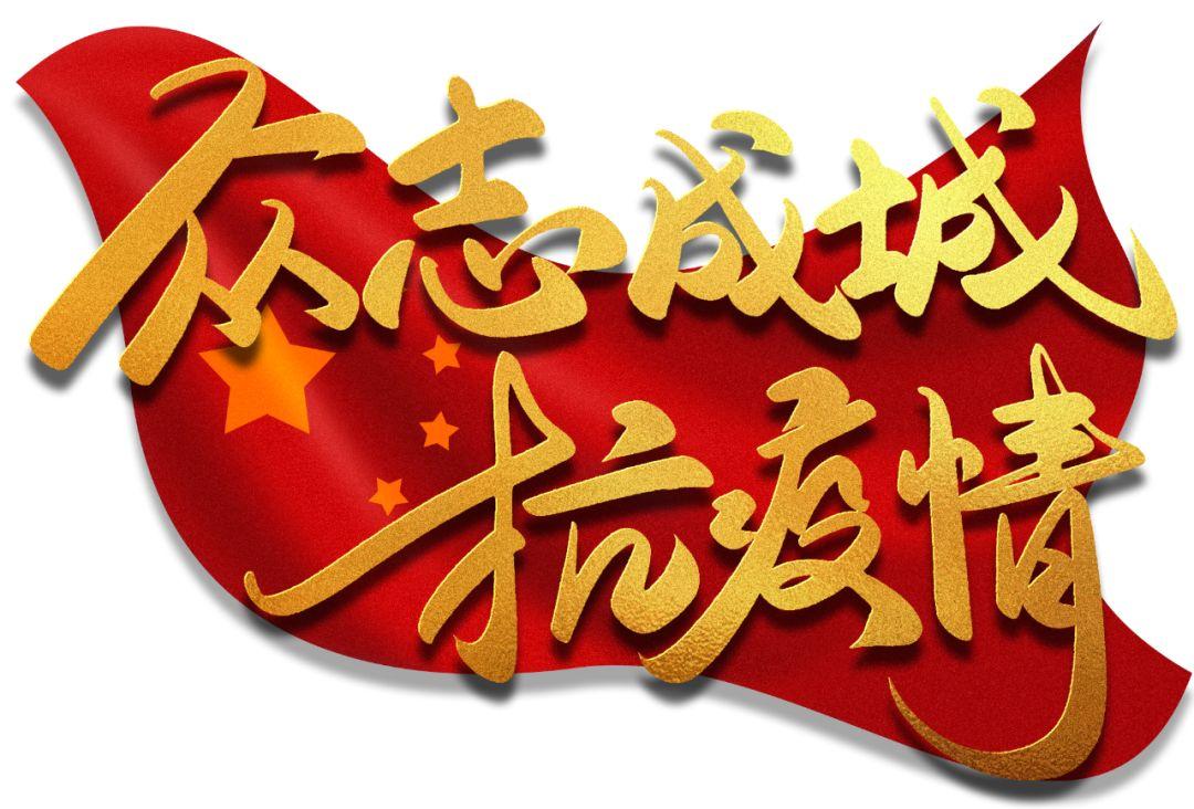 全球疫情最新数据报告，挑战、进展与未来展望