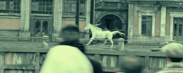 金华市新型冠状病毒肺炎疫情最新动态及防控措施