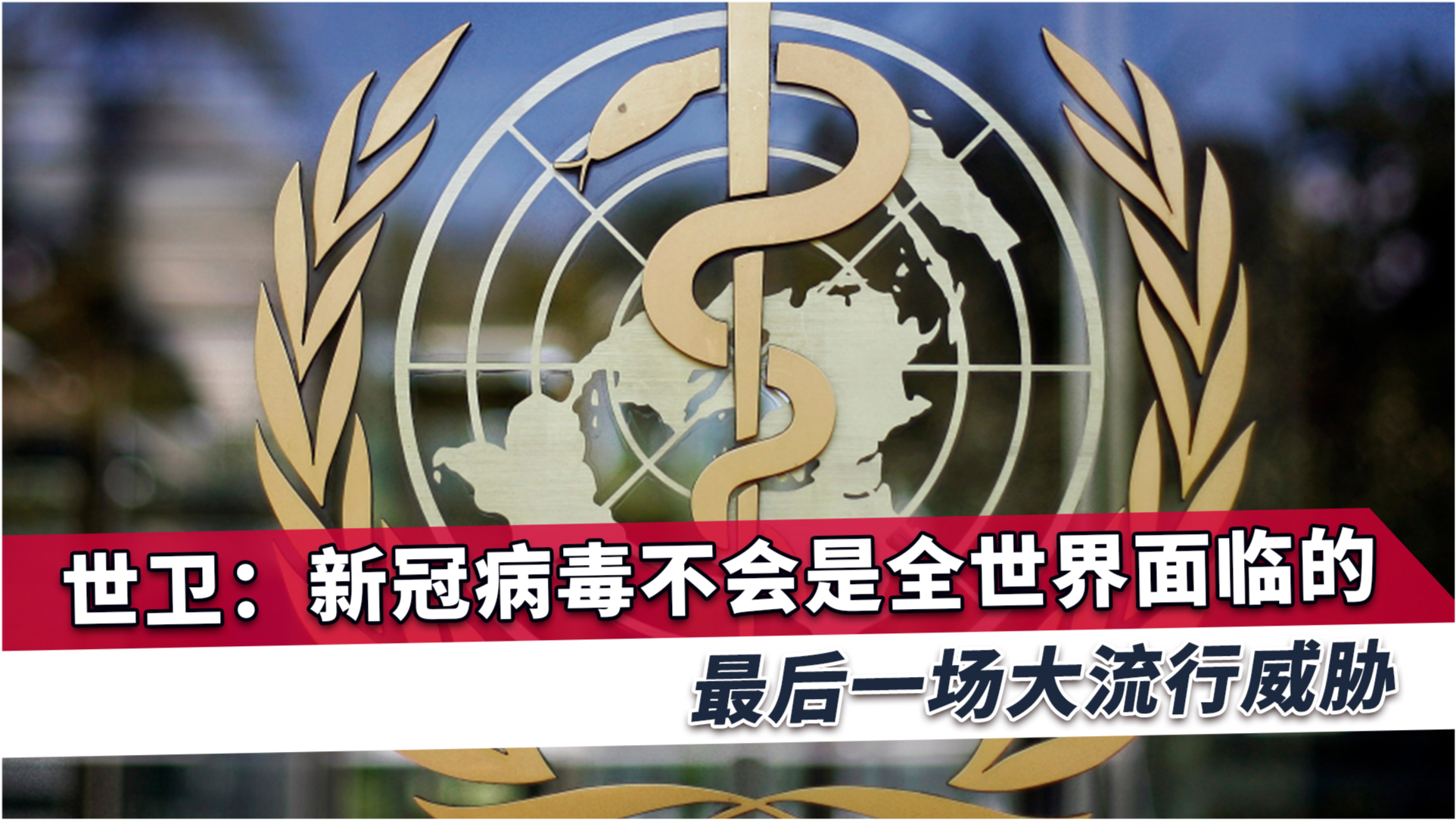 世卫报告警示，关于新冠病毒，这些关键问题仍是未解之谜