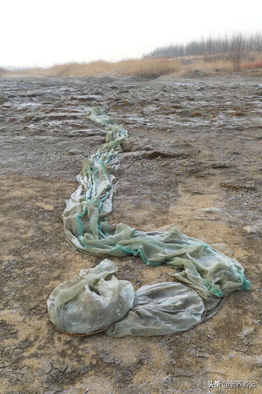 全球累计破亿，数字背后的警示与启示