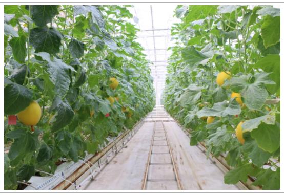 现代报价及图片大全价格表，一站式选购指南