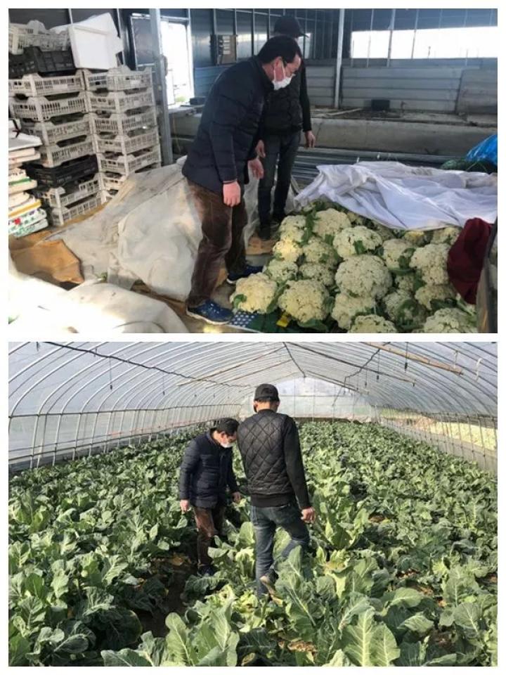 海宁2021年疫情回顾，在挑战中凝聚前行力量