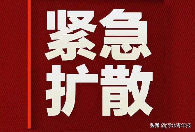 河北疫情速报，4日新增本土病例持续下降，防控措施成效显著