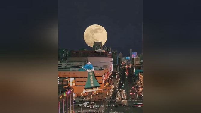 金牛区疫情防控点位，筑牢安全防线，守护万家灯火