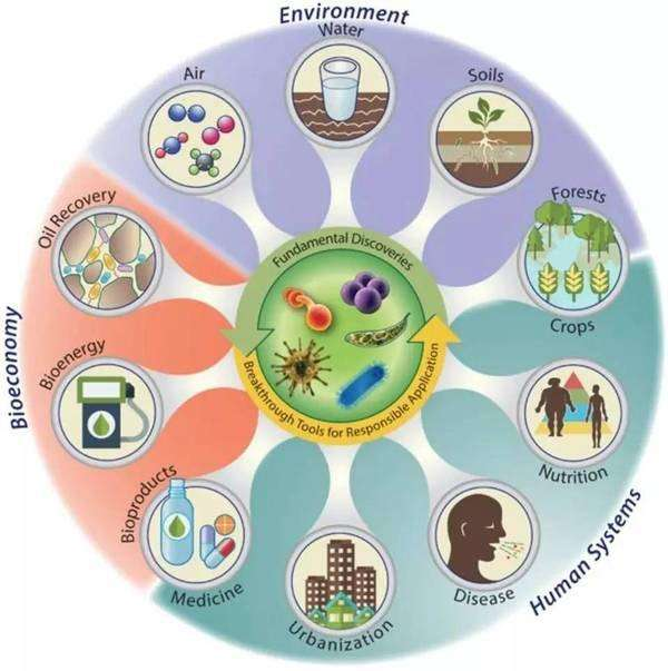 致病性测定，病原研究的科学基石与应用前景