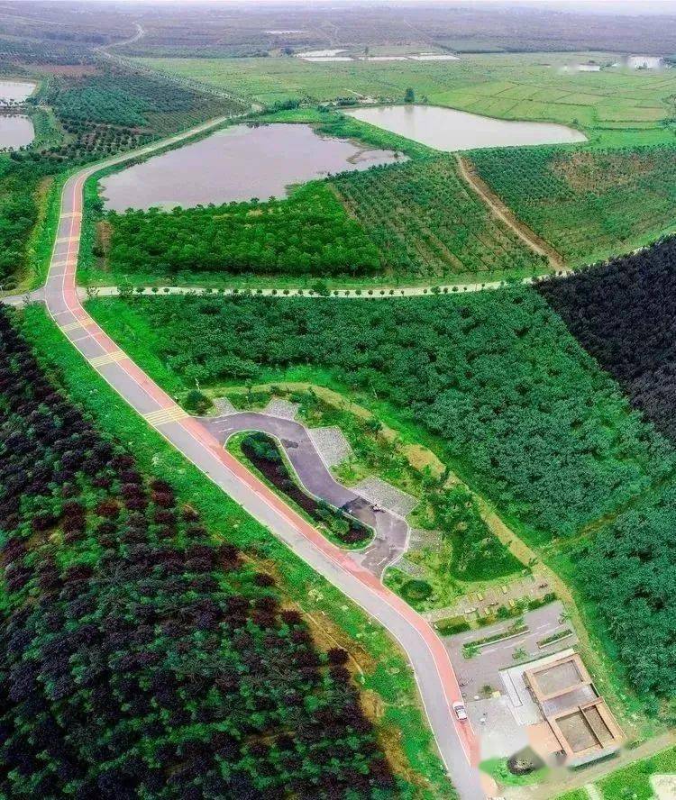 山东滨州无棣，产业升级助推乡村振兴，民生工程绘就幸福画卷