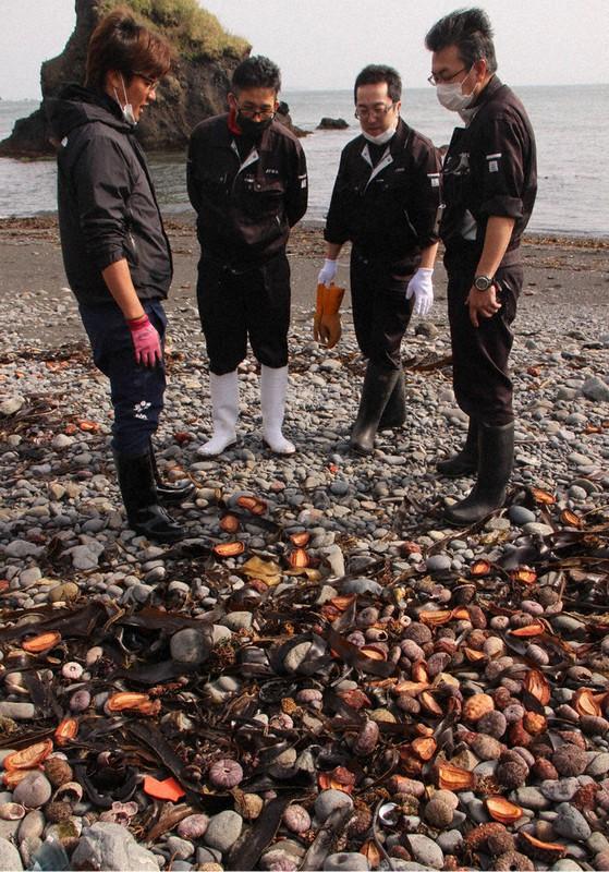 上海是否解封，一座城市的艰难抉择