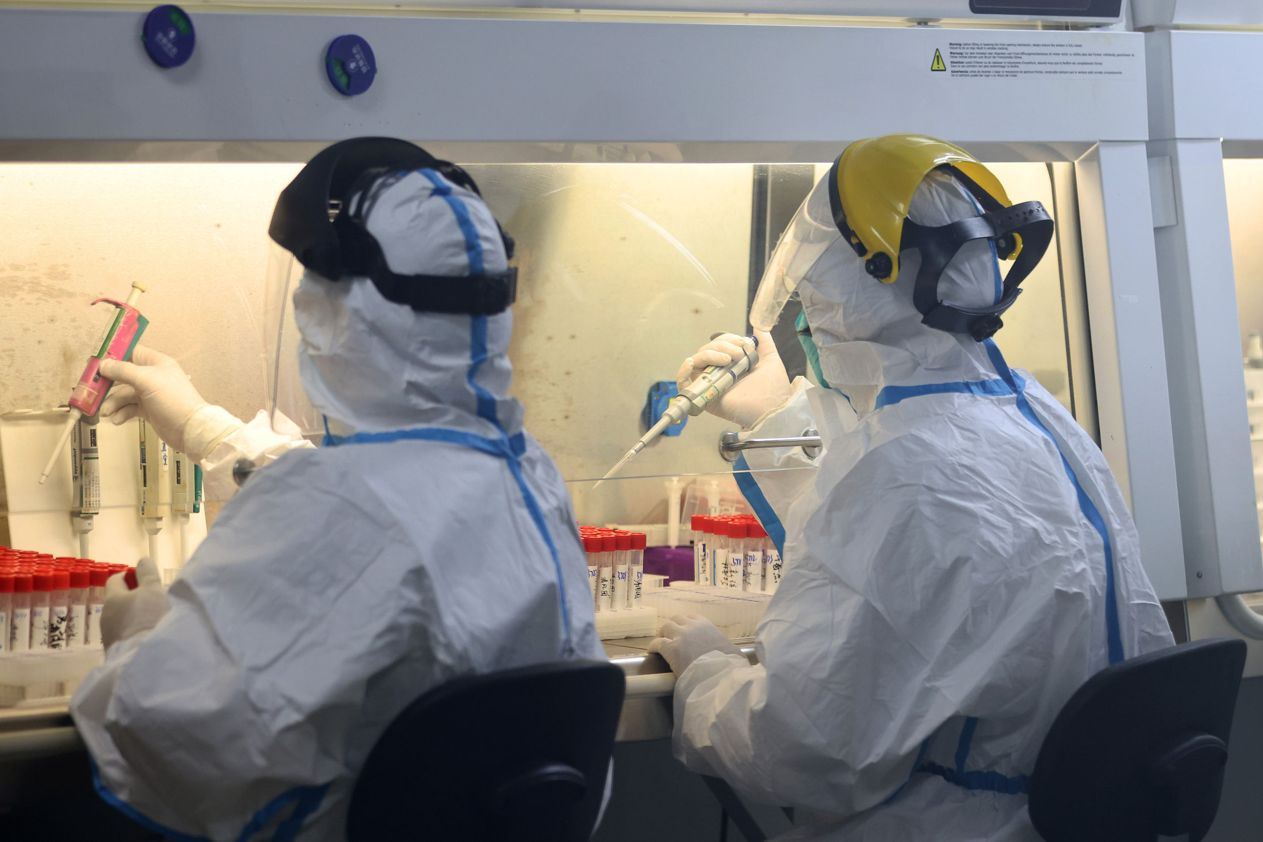 核酸检测结果要多长时间？详解流程与等待时间