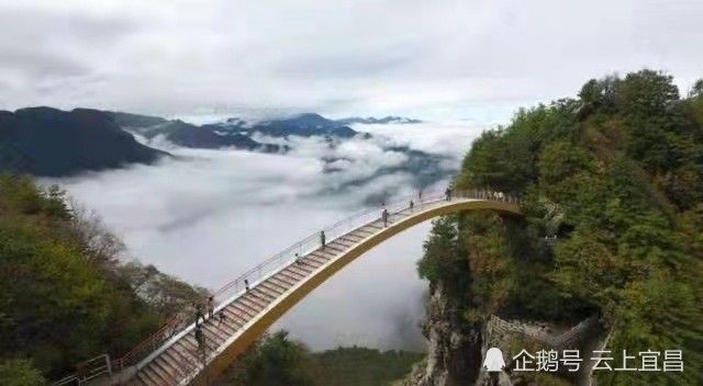 神农架多举措推动生态保护与旅游升级，近期亮点频现