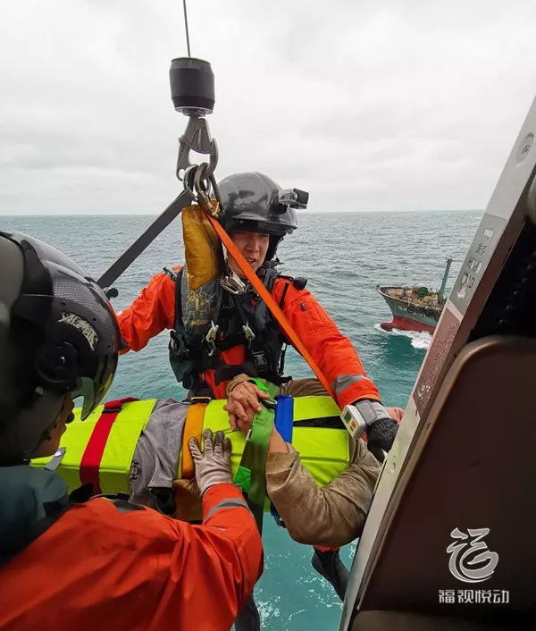 惊涛骇浪间的生命守护—浙江舟山16名船员成功获救记 惊涛骇浪间的生命守护—浙江舟山16名船员成功获救记
