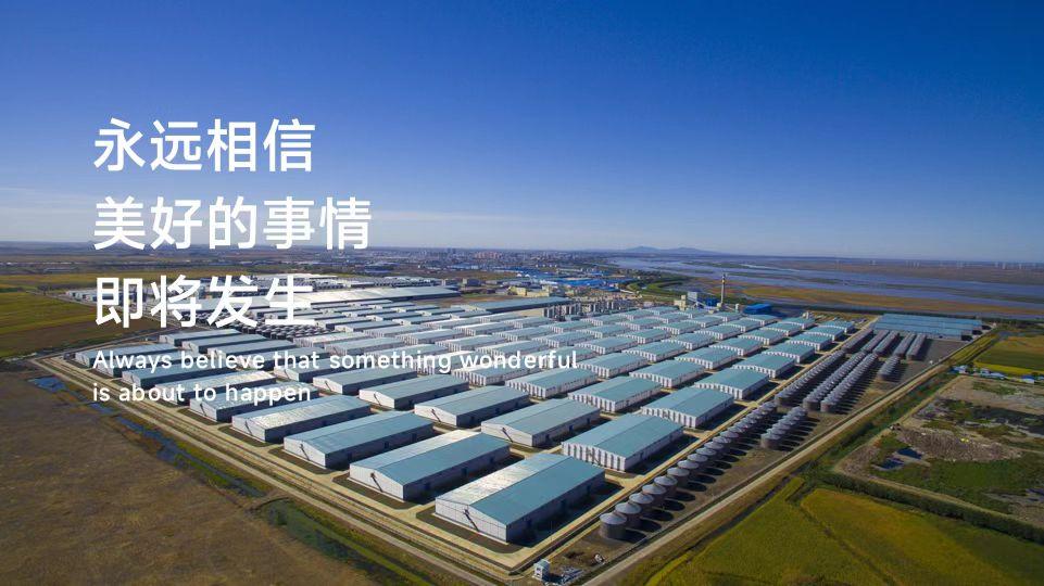 疫情下的金融守护者,郑州银行多措并举助力实体经济复苏 疫情下的金融守护者,郑州银行多措并举助力实体经济复苏