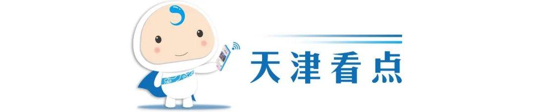 2021年8月天津机动车限号查询全攻略，规则、日历与便捷方法