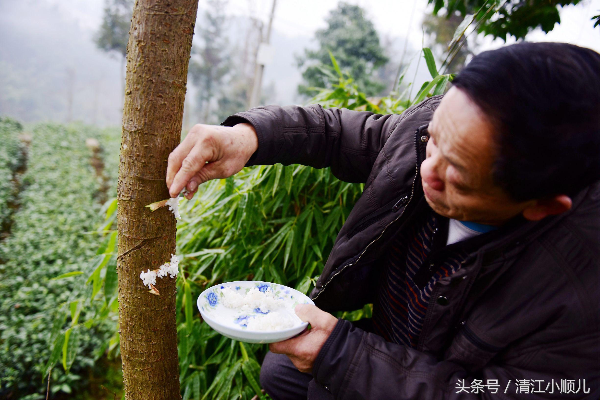 家字藏玄机,十一口与二十口的团圆智慧 家字藏玄机,十一口与二十口的团圆智慧